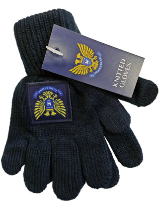 SJFC Gloves