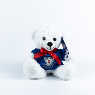 SJFC Christmas Plush Teddy Bear