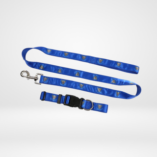 SJFC Dog Collar & Lead
