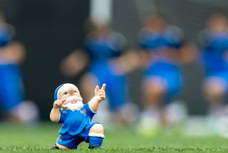 SJFC Gnome